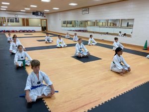 E.S. Moon's Martial Arts Institute Tae Kwon Do programs